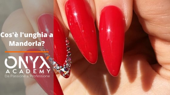mandola-unghia-cos'è